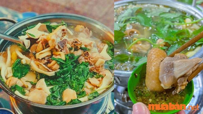 Lẩu gà lá é nóng hổi tại Đà Lạt