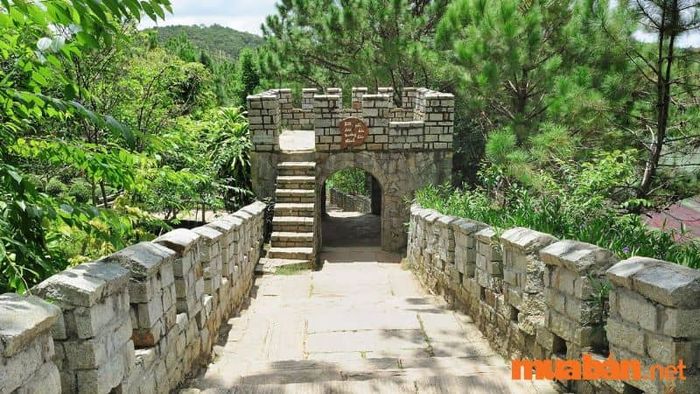 Tiểu