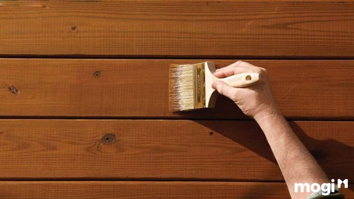 Ngăn chặn mối trên các cấu kiện và vật dụng làm từ xenlulo