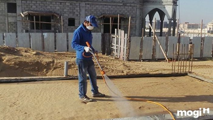 Các biện pháp chống mối trước khi xây dựng ngôi nhà