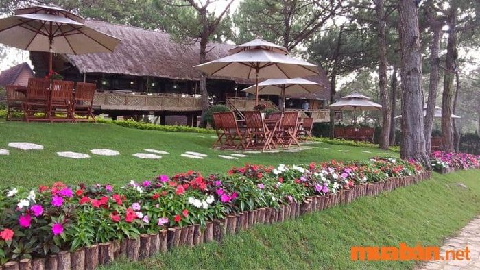 Khu vực ăn sáng trong resort Đồi Mộng Mơ Đà Lạt