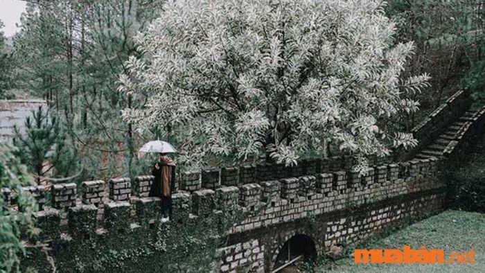 Bức ảnh nghệ thuật tại tiểu