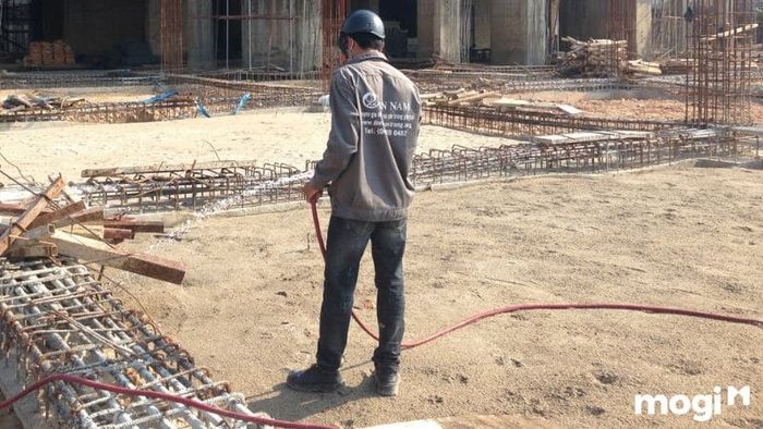 Phương pháp chống mối hiệu quả cho ngôi nhà mới xây