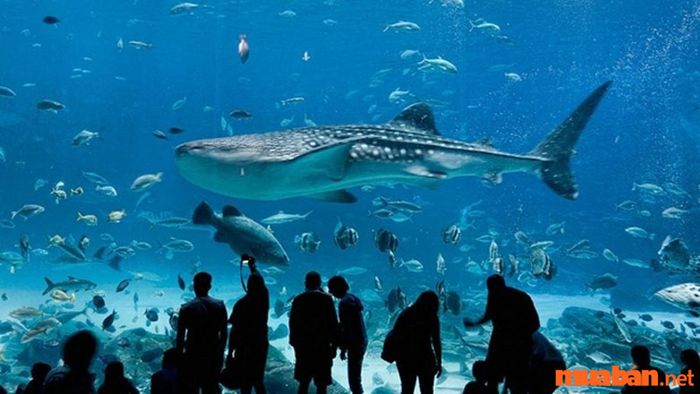Quận Hai Bà Trưng hiện có bao nhiêu phường?