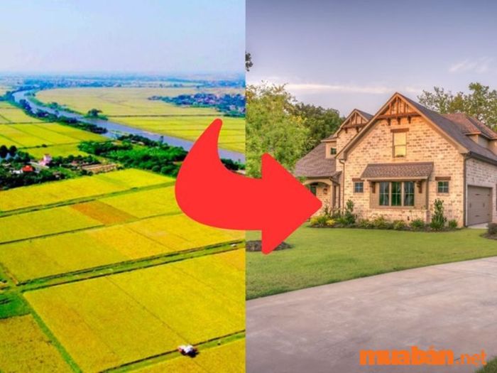 Khái niệm về đất LUK