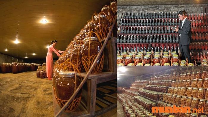 Hầm rượu Mộng Mơ với sức chứa lớn tại Đồi Mộng Mơ