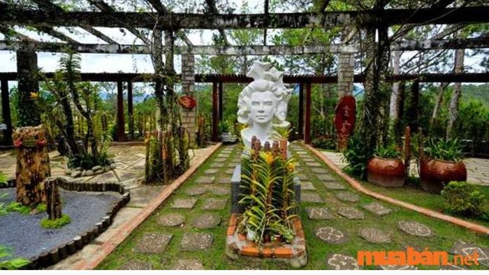 Một số hình ảnh về Đồi Mộng Mơ Đà Lạt 7