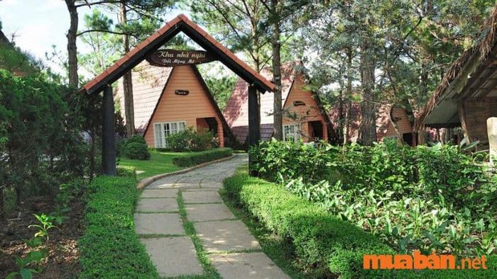 Khung cảnh bình yên tại khu resort Đồi Mộng Mơ Đà Lạt