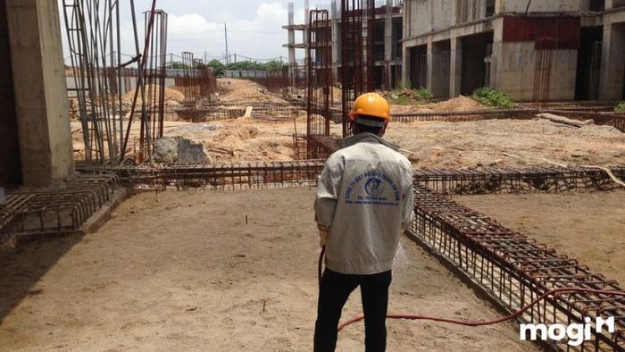 Khi nào là thời điểm tốt nhất để chống mối cho ngôi nhà?