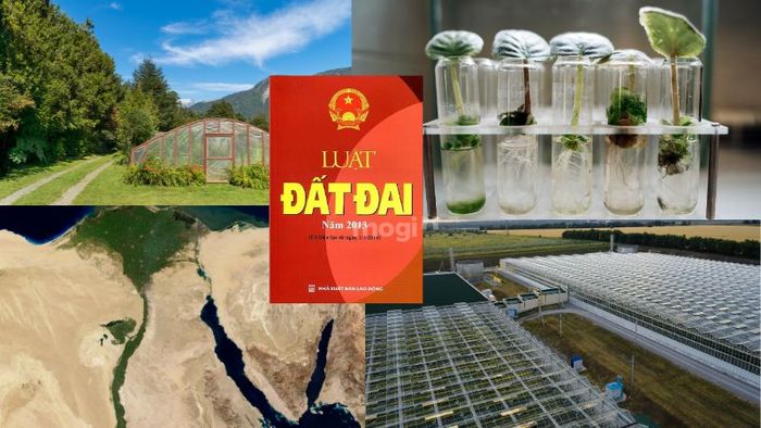 Luật Đất đai năm 2013 quy định rằng Nhà nước cho phép các tổ chức thuê đất DKH nhằm phục vụ cho nghiên cứu khoa học và công nghệ.