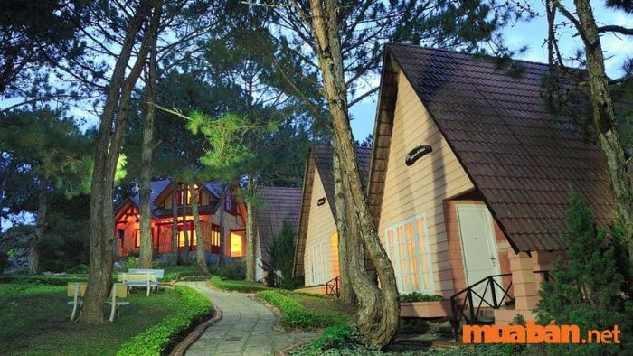 Một số hình ảnh về Đồi Mộng Mơ Đà Lạt 4