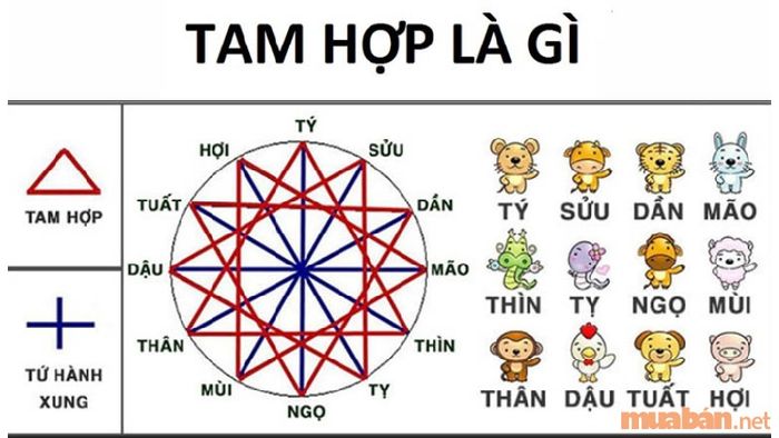 Các yếu tố chính khi mượn tuổi để xây nhà bao gồm tuổi tam hợp và nhị hợp.