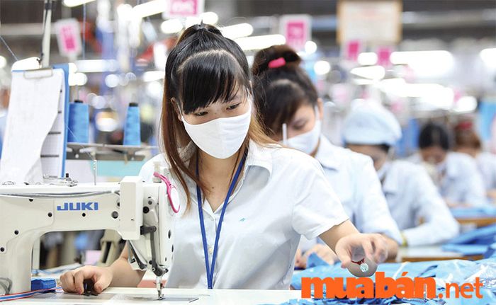 công nhân may làm nhiệm vụ gì