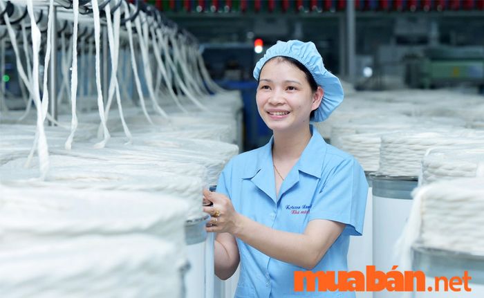 Ngành may mặc mang lại nhiều cơ hội phát triển.