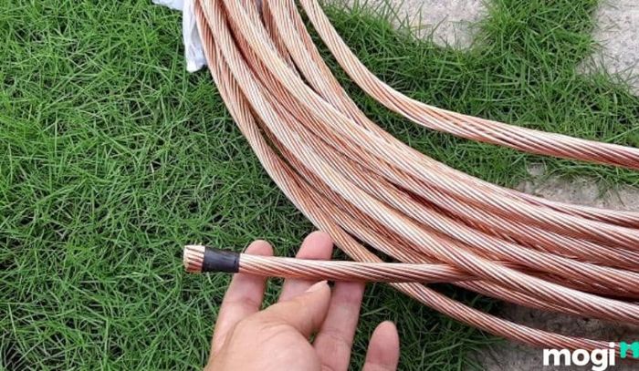 Cột thu lôi là gì - Các loại dây dẫn và dây thoát thường được sử dụng trong hệ thống cột thu lôi