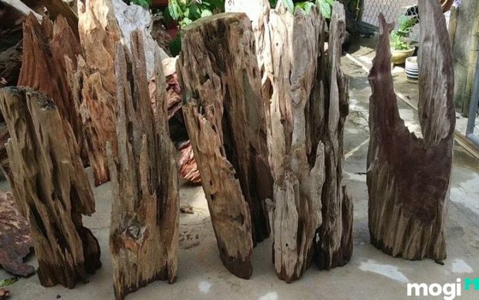 Nghệ nhân cần sự tỉ mỉ khi chế tác gỗ Lũa