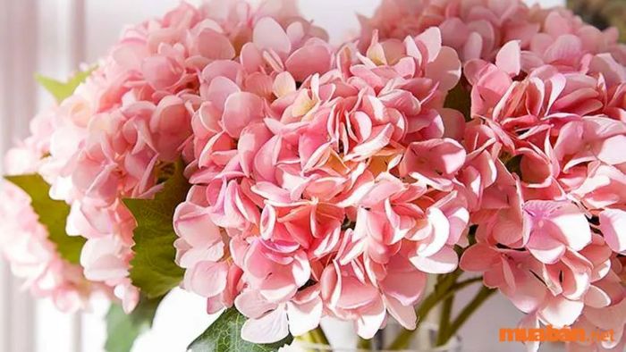 Kinh doanh các loại hoa giả
