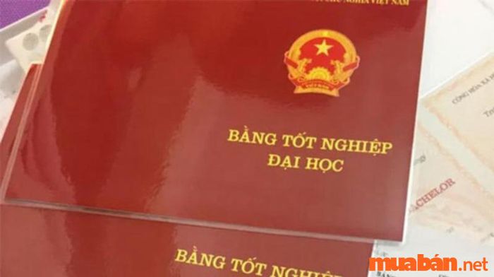 Bằng cấp và chứng chỉ liên quan sẽ là 