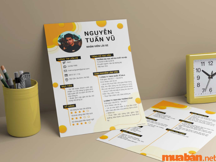 Mẫu CV lái xe rõ ràng và dễ hiểu