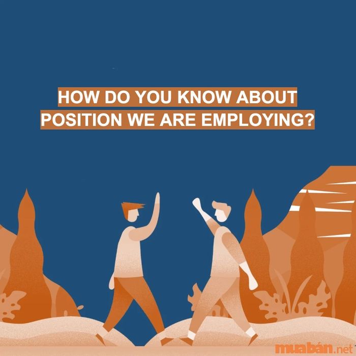 Gợi ý trả lời cho câu hỏi 