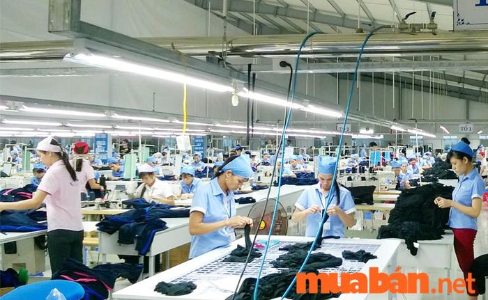 Các công ty may cần tập trung vào chế độ lương thưởng và phúc lợi cho công nhân