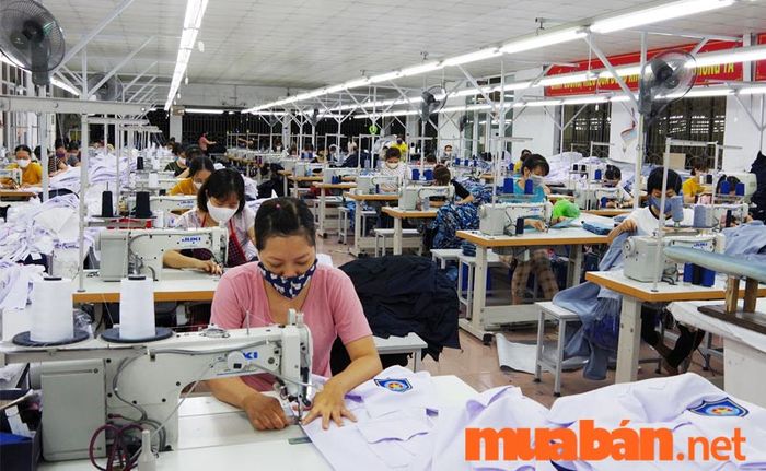 công nhân may theo từng giai đoạn