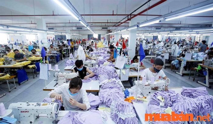 Cơ hội nghề nghiệp cho công nhân may