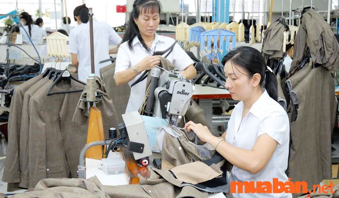 Công nhân may ghép nối các công đoạn để tạo thành sản phẩm hoàn chỉnh