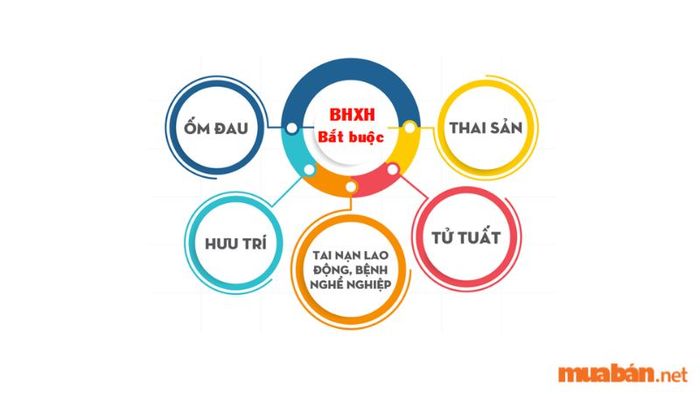 Theo dõi và xử lý chế độ BHXH, BHYT cho người lao động