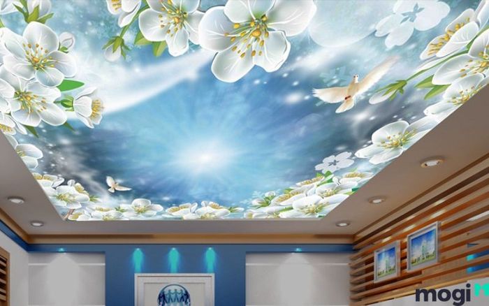 trần nhà cấp 4 xuyên sáng