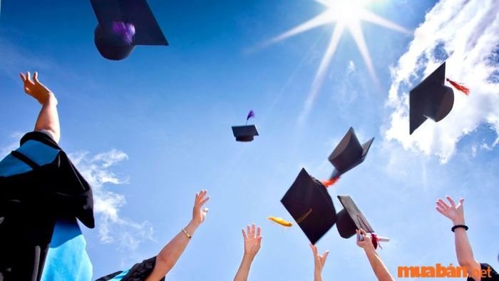 Hướng dẫn viết trình độ học vấn
