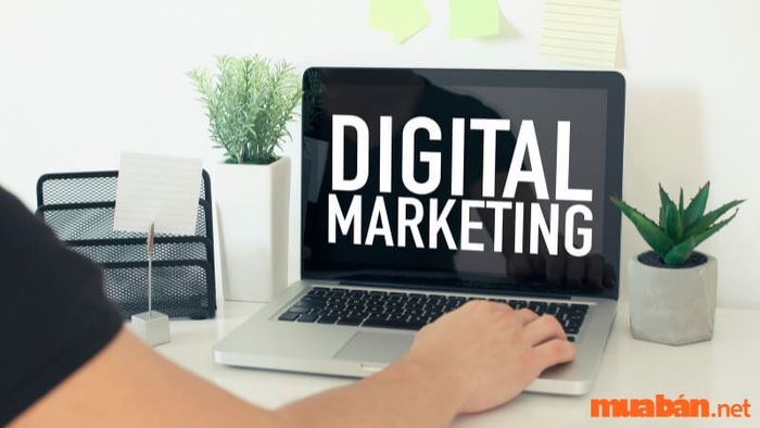 Ngành Marketing cũng là môi trường cực kỳ lý tưởng cho người mệnh Hỏa
