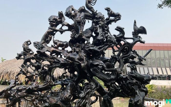 Gỗ Lũa được hình thành từ mưa gió