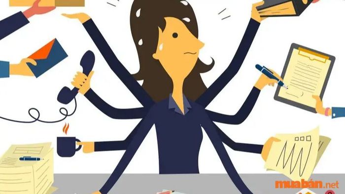 Tham gia xây dựng và giám sát hệ thống quản lý, đánh giá thực hiện công việc