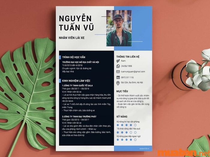 Khám phá ngay các mẫu CV xin việc lái xe tại Mytour!