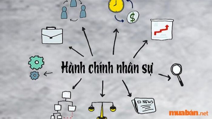 Mô tả công việc hành chính nhân sự một cách chi tiết và đầy đủ