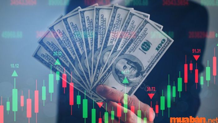 Sự khác biệt giữa Trader, Broker, Holder và Investor