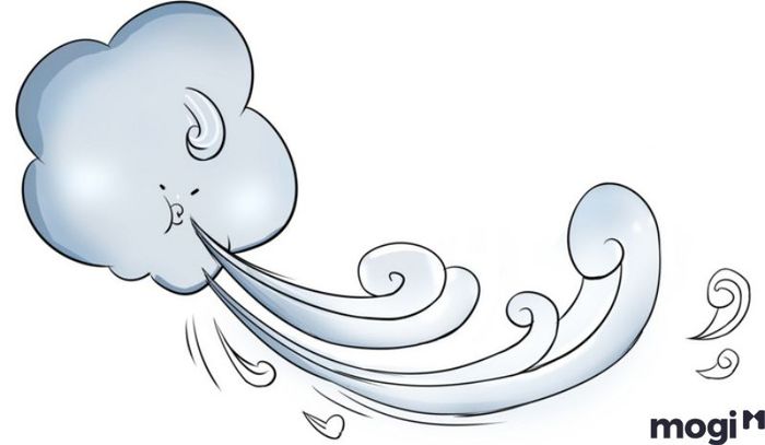 Tỷ lệ khí chiếm từ 25% đến 30% trong đất là điều kiện tốt – Vậy đất trồng có vai trò gì?