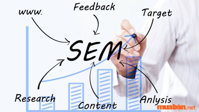 SEM là gì và tại sao nó quan trọng