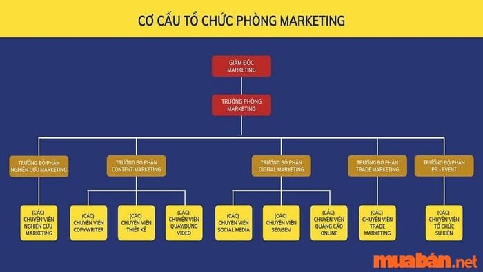 Phòng ban là gì? Các công việc cụ thể của phòng Marketing là gì?