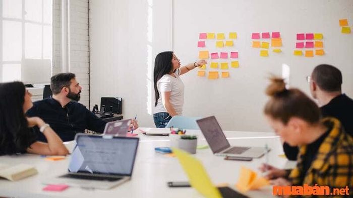 Phòng ban là gì? Phòng nhân sự sẽ thực hiện những nhiệm vụ nào trong công ty?