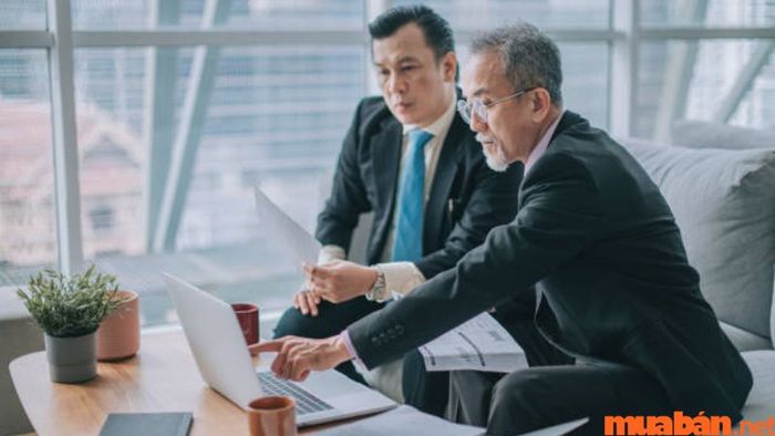 Trader đại diện cho cá nhân hoặc tổ chức