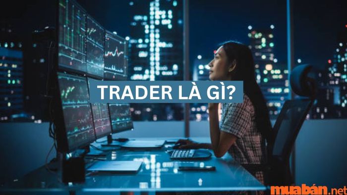 Khám phá bài viết của Mytour để tìm hiểu về những khía cạnh xung quanh nghề Trader!