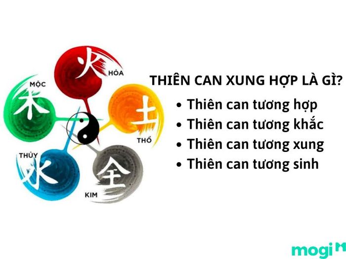 Thiên can xung hợp là gì?