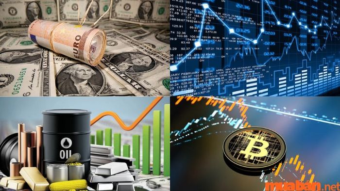 4 loại thị trường mà Trader tham gia