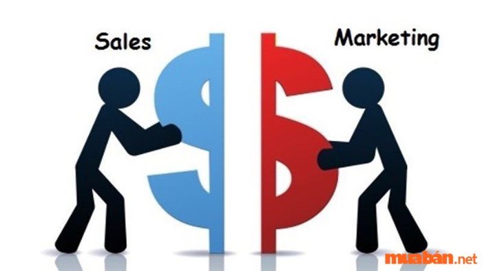 Sales Marketing là gì?