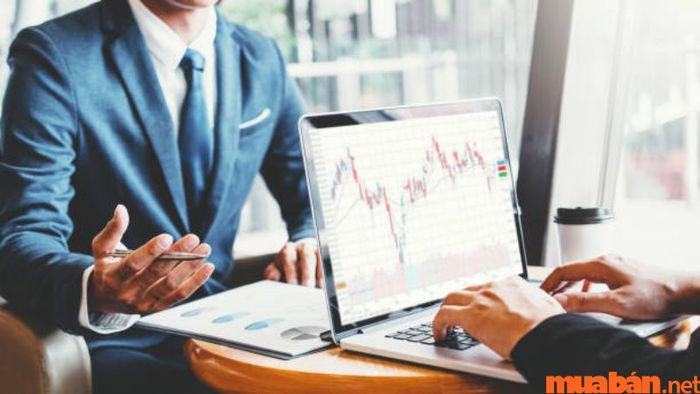 Sự khác biệt giữa Trader, Broker, Holder và Investor