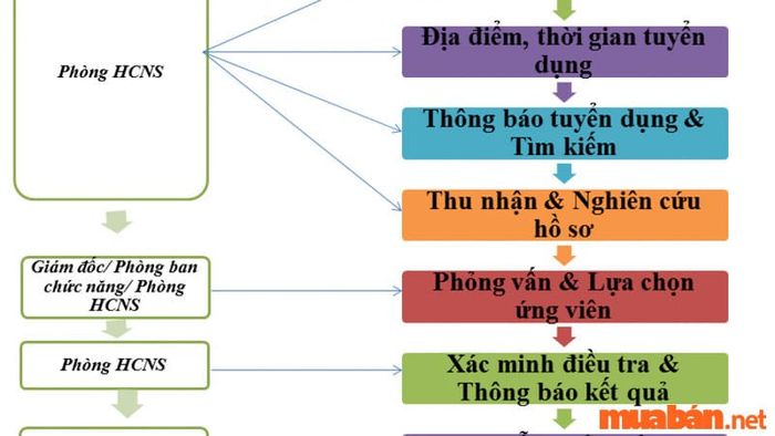 Phòng ban là gì? Cấu trúc của phòng quản lý nhân sự như thế nào?