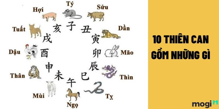 Thiên can tương hợp là gì?