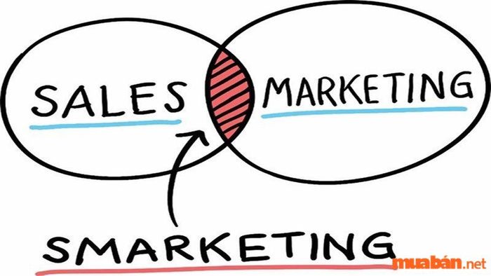 Sales Marketing là gì?